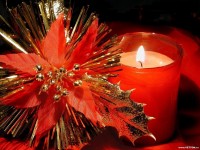 /album/christmas-pictures/a-5-jpg/